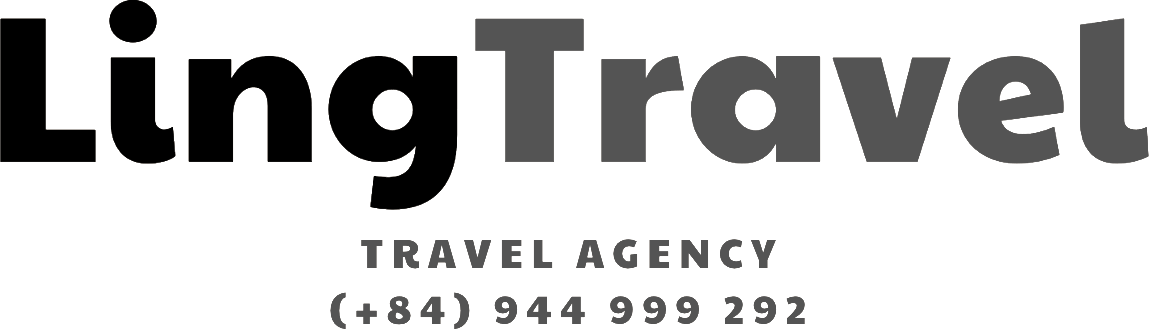 Dịch vụ tour du lịch chuyên nghiệp